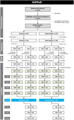 A nutritional supplement taken during preconception and pregnancy influences human milk macronutrients in women with overweight/obesity and gestational diabetes mellitus